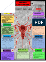 Flujograma de Sangrado Uterino Anormal-Yesica Quispe Ochoa