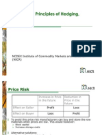 Basic Principles of Hedging