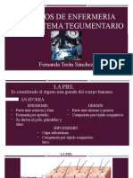 Cuidados de Enfermeria en El Sistema Tegumentario: Fernanda Terán Sánchez