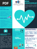 Folleto Riesgo Cardiovascular PDF