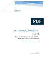 Mapa Conceptual Seguros de Enfermedades y Maternidad y Seguro de Invalidez y Vida