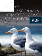 In Vitro Fertilisation Ivf Intr PDF