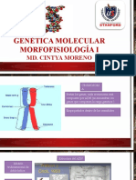 Genética Molecular 