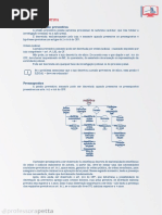 Prisão Preventiva PDF