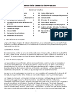 Fundamentos de La Gerencia de Proyectos1