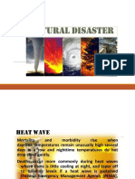 Natural Disaster