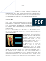 Pulpa Resumen PDF