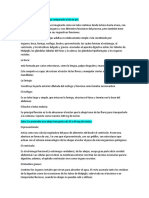 Sistema Digestivo de La Abeja Comparado Al de Un Pez