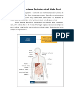 FC - Gastroenterologia