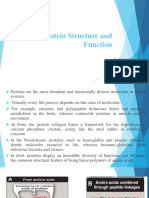 Protein Structure and Function