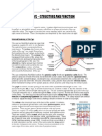 WS - Eye Structure and Function WORD