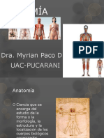 Primera Clase Anatomia