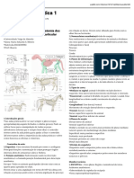 Relatoria Aula Prática (1) 05:11 PDF