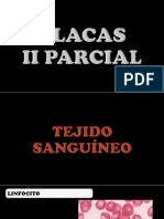 2 Placas PDF