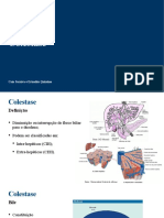 APRESENTAÇÃO - Colestase