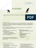 Trabalho Flexibilidade Ef - Odp