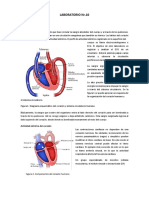 Cardio PDF