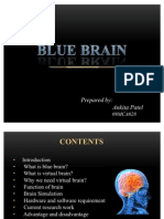 Blue Brain