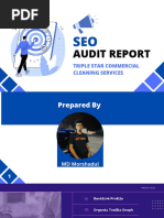 SEO Audit PDF