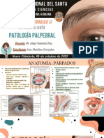 Patología Palpebral