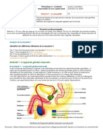 Séance Sexualité PDF