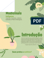 Trabalho Sobre Ervas Medicinais Indigenas, 3B PDF