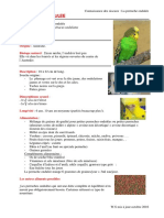 Eojxm Melopsittacus Undulatus PDF