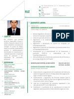 Curriculum Vitae Ingeniero Ambiental