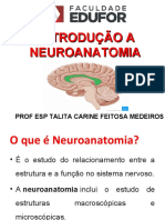 Introdução A Neuroanatomia