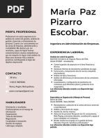 María Paz Pizarro Escobar.: Perfil Profesional