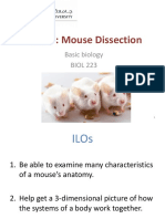 BIOL223-Lab 8