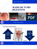 Sangrado de Tubo Digestivo