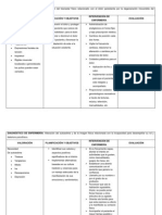 Diagnóstico de Enfermería