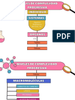 Niveles de Complejidad Progresiva Cuadro PDF