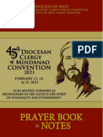 DCM Booklet - Draft PDF