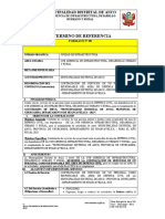 Formato-Tdr-Servicio Defensa Civil