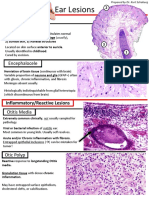 Ear Lesions