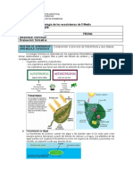 Guia Sobre Fotosintesis