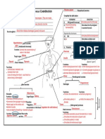 7.1 Human Endocrine System - MEMO - ONE PAGER 2020