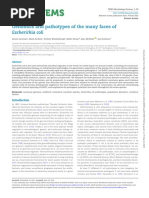 Genomics and Pathotypes of Escherichia Coli