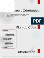 Tumeurs Cérébrales 2022 PDF