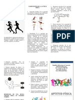 Triptico Aptitud Fisica