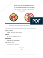 Informe Practicas Pre Profecionales I 2022 Ii