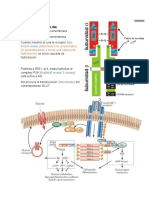 ANTIDIABETICOS