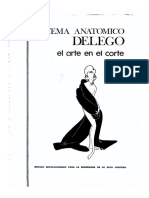 Sistema Anatomico Delego El Arte en El Corte PDF