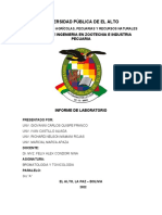 Informe de Laboratorio