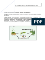 Fluxo de Matéria e Energia Barra Mansa PDF