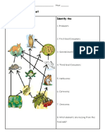 Food Chain Web Pyramid PDF