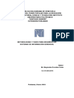 Metodologias y Fases para Desarrollar Sistemas de Informacion Gerencial