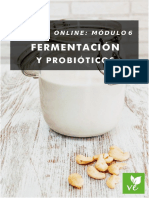 Modulo 6. Fermentación